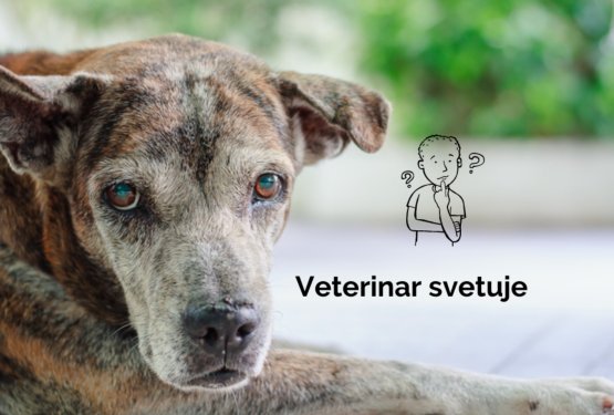 Diagnoza Cushingov sindrom